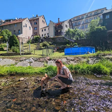 Urlaubstraum Mit Pool, Terrasse&fluss Im Garten - Ut Apartment Sebnitz