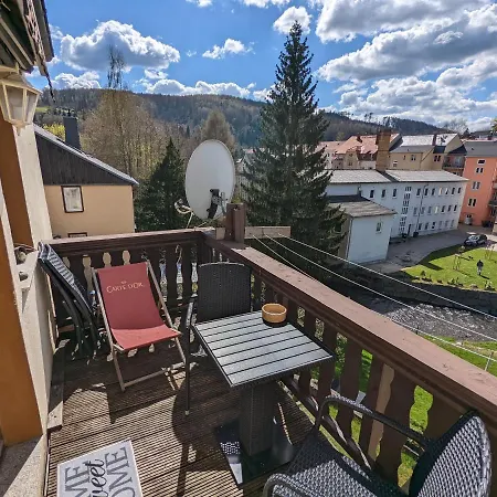 Urlaubstraum Mit Pool, Terrasse&fluss Im Garten - Ut Apartment Sebnitz